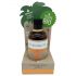 Aceite Bronceador Bio de Coco (80ml)