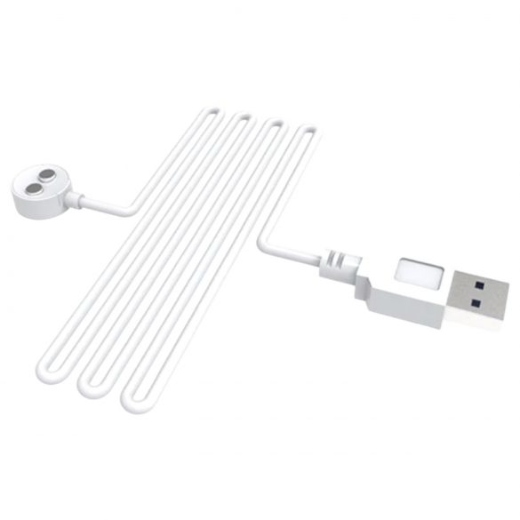 Cable USB magnético Lovense (blanco)