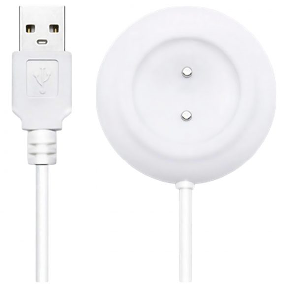 Cable USB magnético Lovense Ambi (blanco)